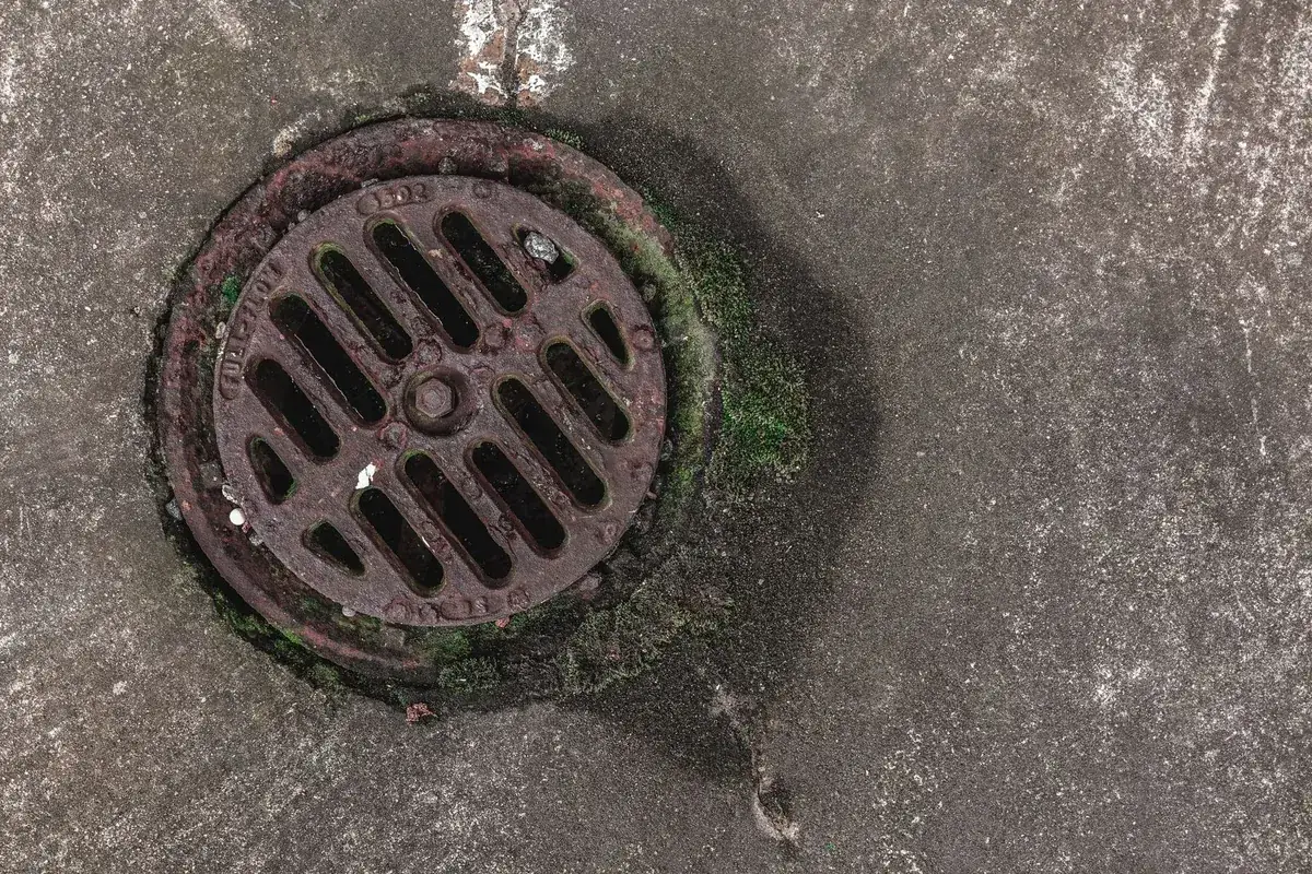 Sewer line access cover on a Bothell WA street